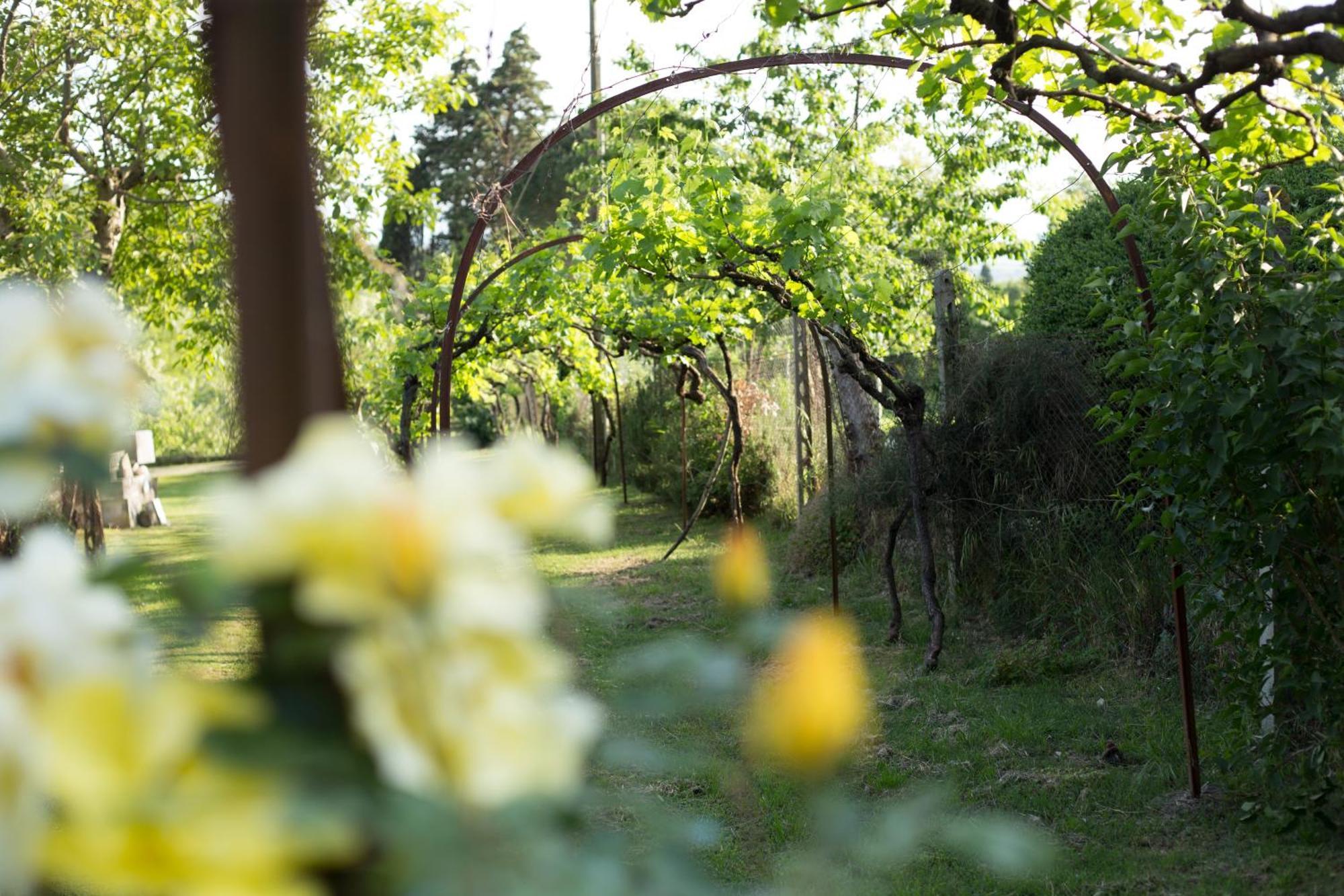 Villa Campo Di Fiore Arezzo Eksteriør billede