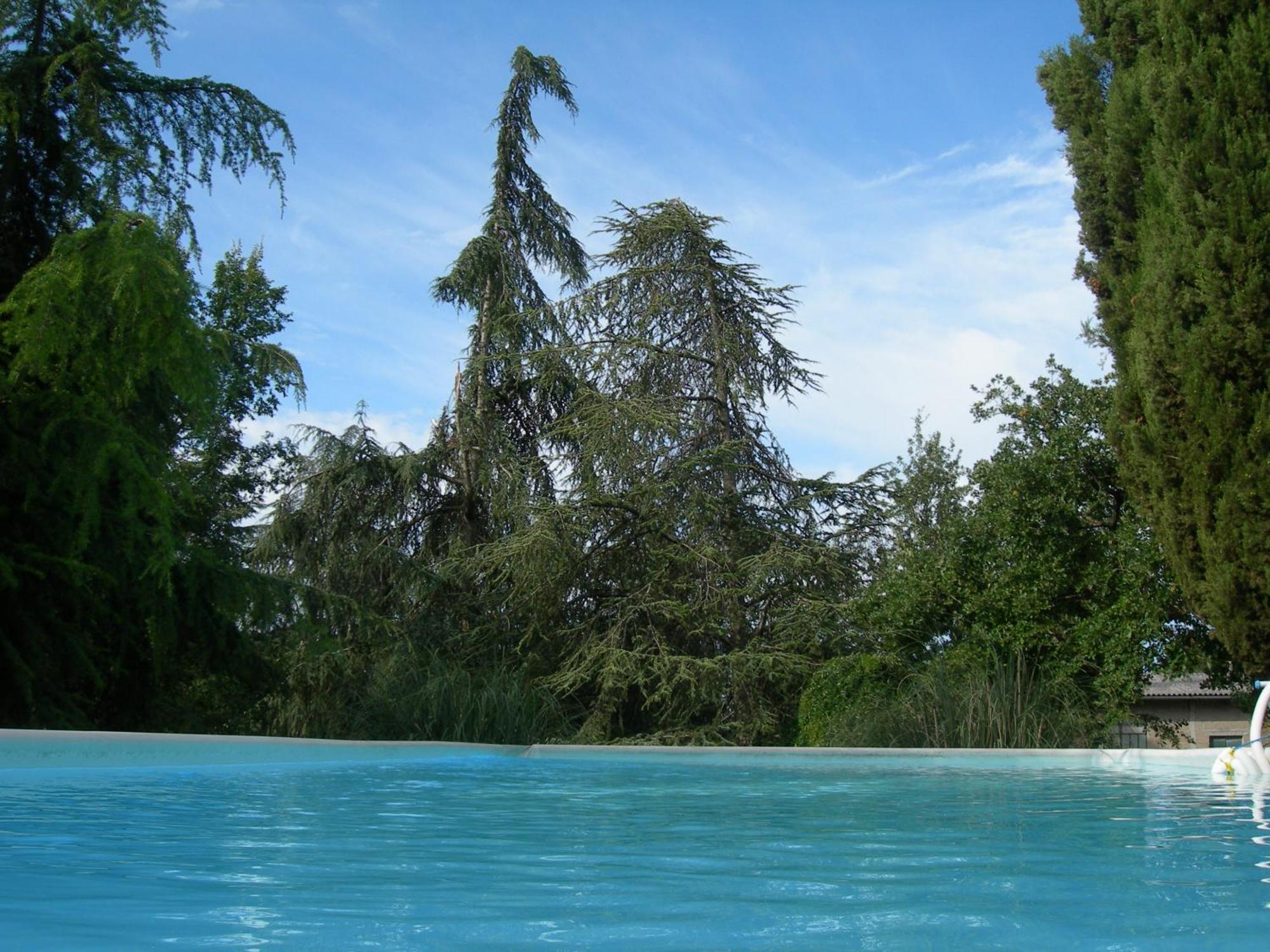Villa Campo Di Fiore Arezzo Eksteriør billede